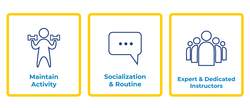 post rehab top values shows 3 icons to demonstrate maintaining activity, socialization and routine, expert and dedicated instructors