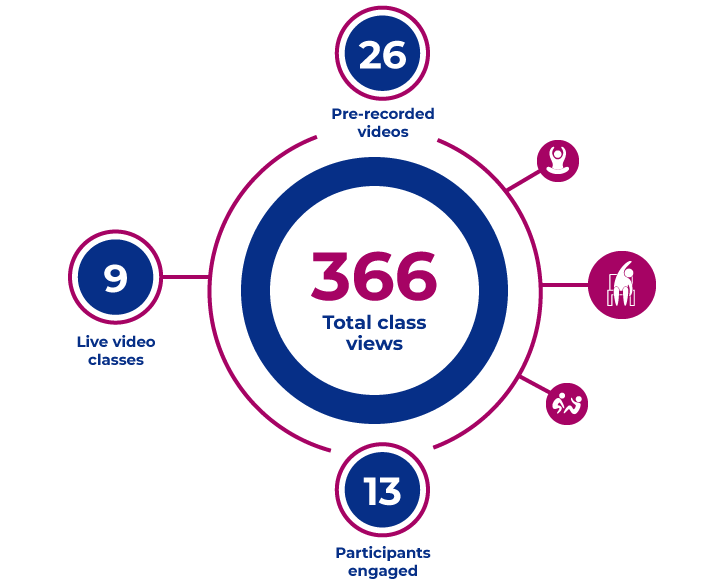 rcm-class-numbers.png pie graph representing 366 total class views, 9 live video classes, 26 pre-recorded videos